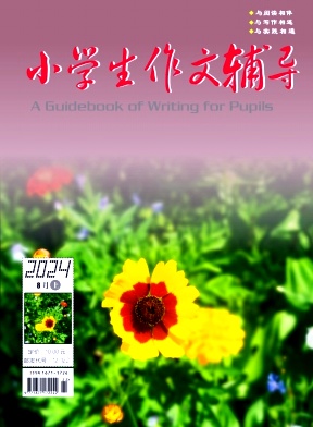 小学生作文辅导